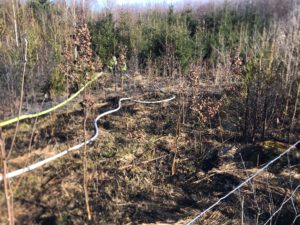 2023.03.11 B1 Waldbrand Ramsach 06