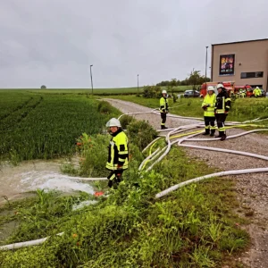 IMG_20240601_205252_218